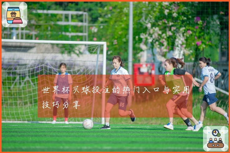 世界杯买球投注的热门入口与实用技巧分享
