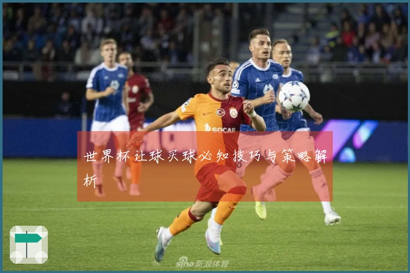 世界杯让球买球必知技巧与策略解析
